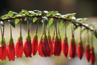 宁波余姚零用贷短借：轻松解决临时资金需求