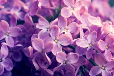 宁波余姚企业急用钱贷款攻略：快速融资解燃眉之急